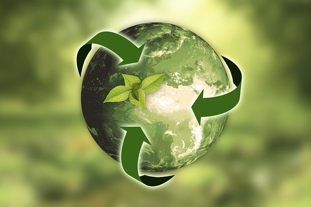 Zdjęcie przedstawiające recykling na ziemi